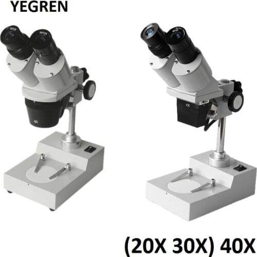 20X 30X 40X Stereo Microscope with WF10X Eyepiece Top Halogen Lamp Lighting Illumination Binocular Head Optical Glass Lens