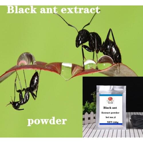 Supply High-quality Black Ant Extract Powder To Nourish The Kidney and Strengthen The Essence, Increase Endurance and Immunity