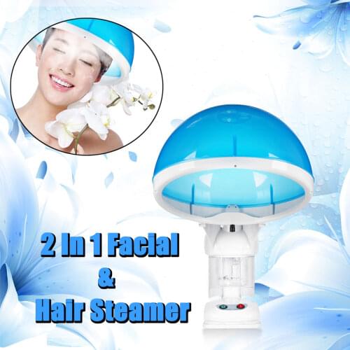 2 in1 Personal Facial Table Top Face Hair Steamer Salon Ozone-Aroma Hair Moisture Professional 110V/220V PTC Heating Plate