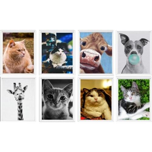 Animal Meow Cat Giraffe Cowdog Wall Art House Decoration,8 x 10 Inches,Set of 8 Pieces