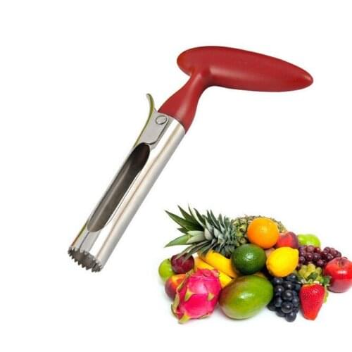 1PC S/Steel Core Remover Apple Corer With PP Holder Pear Pitter Fruit Seeder Fruit Vegetable Kitchen Gadget KX 034