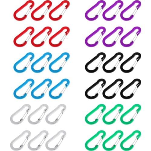 6 Pieces Aluminum D-Ring Carabiner Clip Spring Snap Hook Keychain