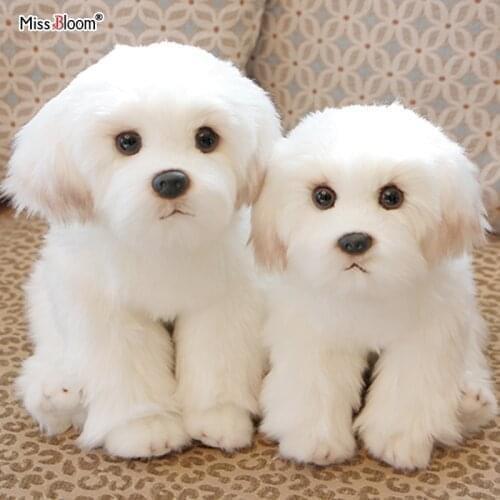 2 pieces Cute Bichon Frise Puppy Stuffed Dog Plush Toy Simulation Pet Fluffy Baby Kids Doll Birthday Gift for Children Drop Ship