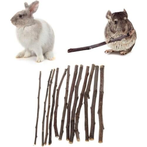 Natural Apple- Tree Branch-Toy for Pet Hamsters Teeth Molar Wooden Chewing Tool