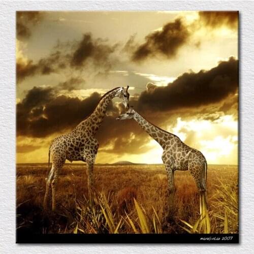 Quality Canvas prints Art painting of giraffe from Africa animals photos to hang on living room wall free shipping