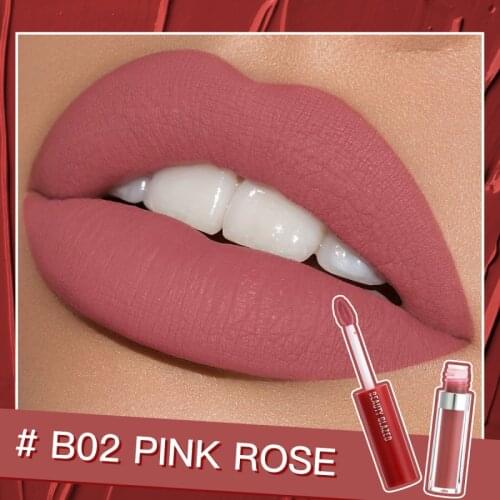 20 Color Lip Glaze Gloss Natural Long-lasting Waterproof Lipstick No Fading Non-stick Velvet Matte Lip Makeup Cosmetic TSLM1