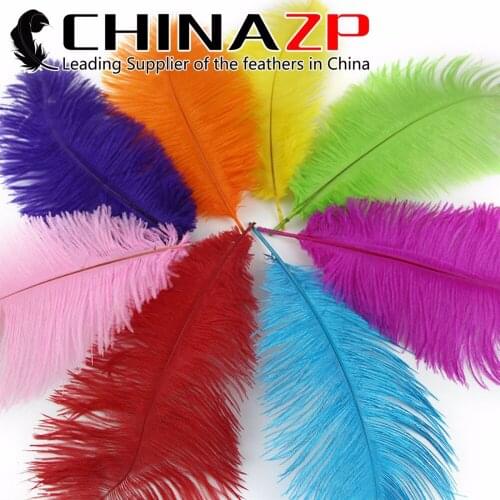 CHINAZP Factory Wholesale 600pcs/lot Size from 12inch to 14inch (30-35cm) Top Quality Dyed Mix Naural Ostrich Feathers