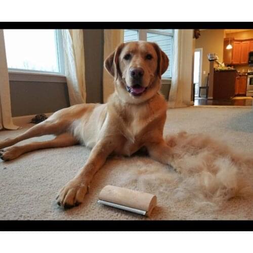 Wood Groom Brush vis LOGO Deshedding Grooming Tool, Professional Pet Wooden Groomer, Ergonomic Design Dog Comb