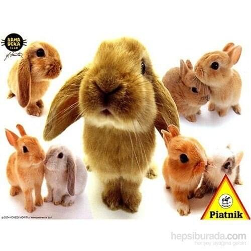 Piatnik 100 Piece Jigsaw Puzzle Hanadeka Rabbits