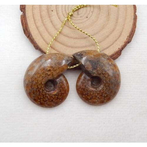 On Sale,Natural Gemstone Aommonite fossil Earrings Bead,Fashion Jewelry,Birthday gift,32x25x8mm15.4g