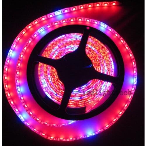 2x 5M 5050 300 SMD Red Blue 7:1 Plant Growing Hydroponic Aquarium LED Light Waterproof flexible LED strip