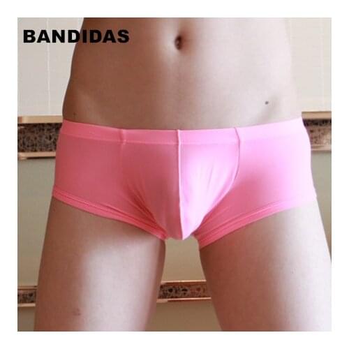 Bandi Das Men's Transparent Briefs