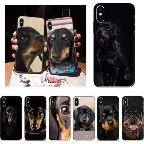Zororong Dogs Dachshund Cute Phone Case For iPhone 12 Mini 11 Pro XS Max X XR 7 8 Plus