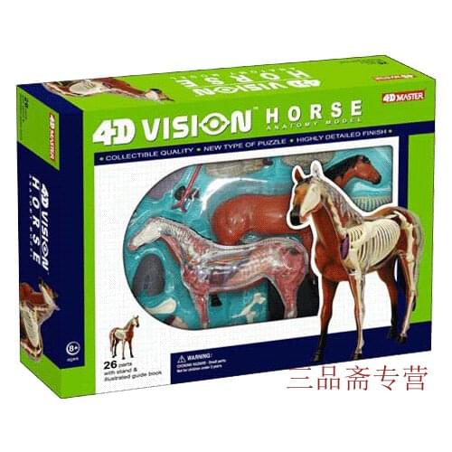 Horse model 3d Vision horse assembled animal model horse anatomical model