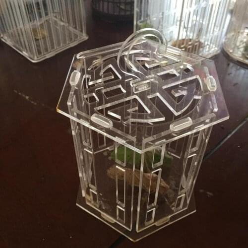 Plastic insect observation toy Plastic Insect Observation Grasshopper Cricket Pet Cicada Silkworm Reptile Box Breeder Incubator