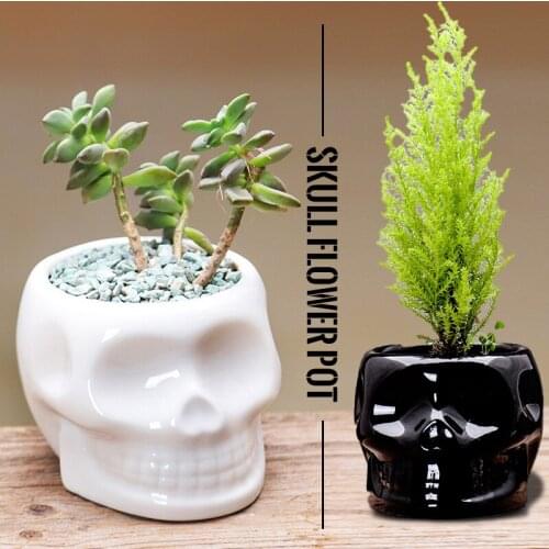 Nordic Creative Ceramic Skull Head Portrait Flower Pot Simple Micro Landscape Garden Succulent Potted Plants Home Decor