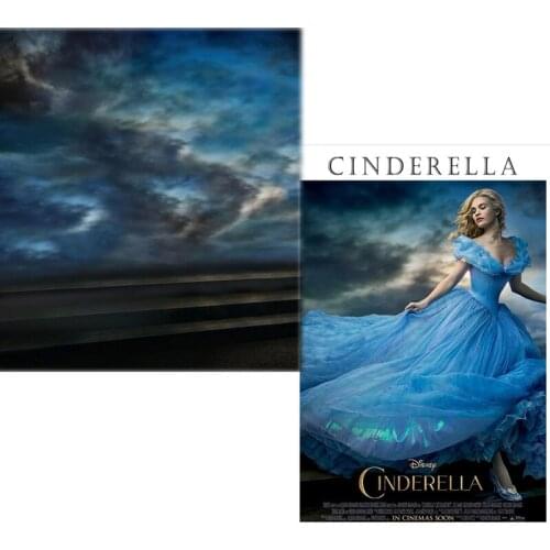 DAWNKNOW Vinyl Photography Backdrops Cinderella Fairy Tale Photocall Background Children Photo Studio Props Customize CM6744
