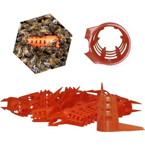 Bee Queen Push-in Protector Rearing CapBee Hive Tools For Beekeeping Equipment Beekeeper Suppiler