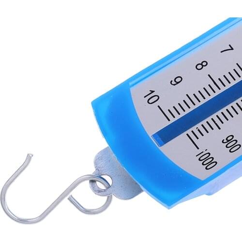 Spring Dynamometer Newton Spring Scale Physical Mechanics Teaching Equipment