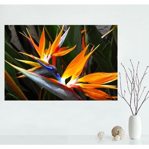 Nice Bird Of Paradise Flower Poster Custom Satin Poster Print Cloth Fabric Wall Poster Print Silk Fabric Print Poster