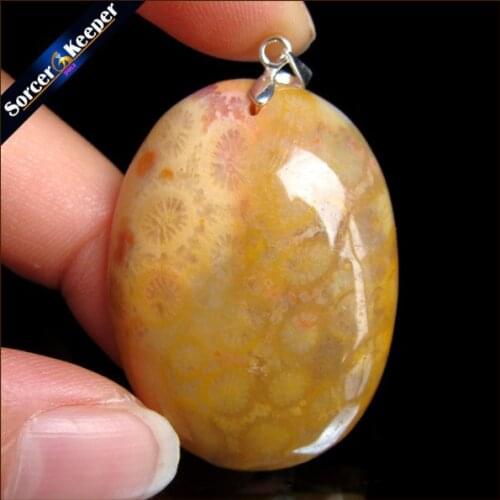 New Hot Selling Natural Stone Crinoid Fossil Necklace Jewelry Chrysanthemum Stone Healing Reiki Pendant For Men Women HS346