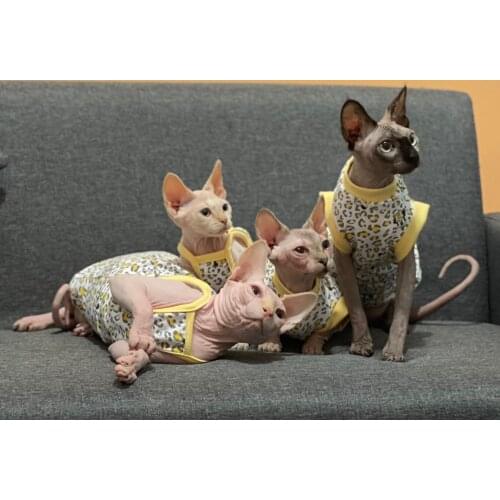 Sphinx hairless cat clothes pure cotton summer thin short camisole strap leopard point German Abbie cat clothes
