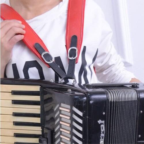 New 2017 for parrot / parrot 120 bass / 96 bass / 120 bass accordion