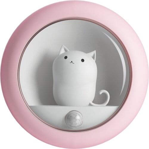 The Human Body SensesThe Night Light In Late Sleepers