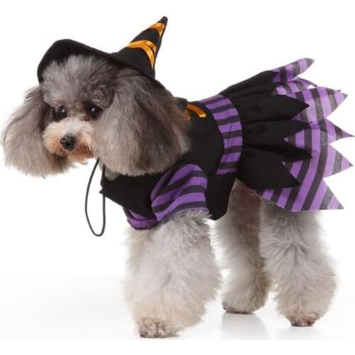 Funny Pet Can Outfits Halloween Cosplay Cans Costume Fashion Puppy Hat Home Pet Carnival Party Clothes