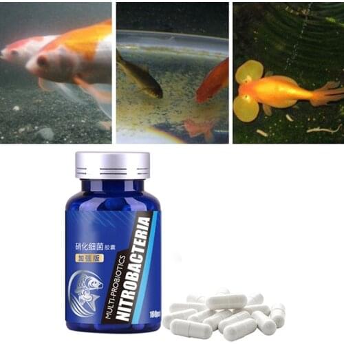Aquarium Nitrifying Bacteria Capsule for Water Purifier System Fish Tank Water Filter Nitrifying Freshwater Aquarium Accessories
