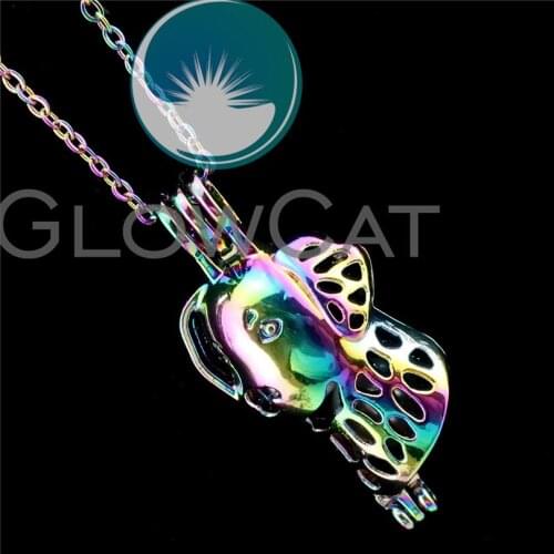 R-C400 Rainbow Colors Puppy Dog Beads Cage Pendant Essential Oil Diffuser Aromatherapy Pearl Cage Locket Necklace