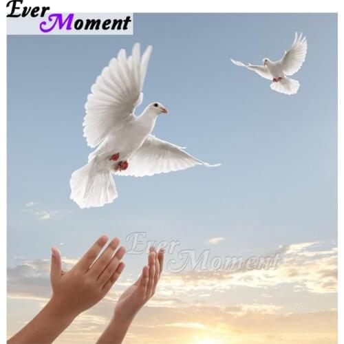 Ever Moment Diamond Painting Picture Of Rhinestone Flying Pigeon Full Square Drill Decoration Home Diamond Embroidery ASF1487