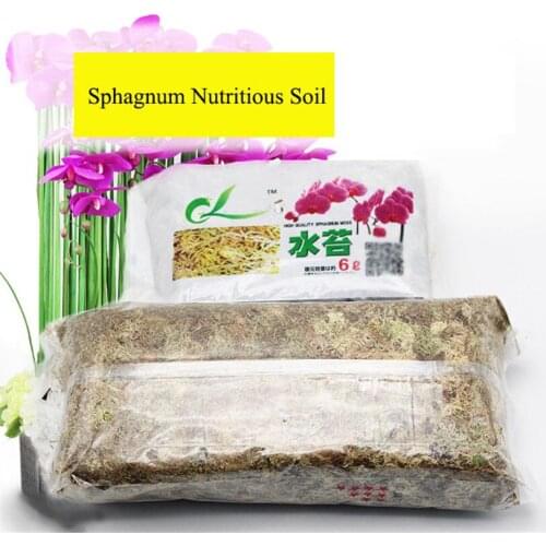 1PC Sphagnum Nutritious Soil Compound Fertilizer Dry Moss Organic Fertilizer For Garden Flowers Clivia Orchid Nutrition Soil