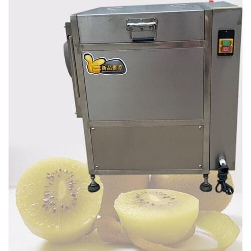 Type 45 Fruit and Vegetable Washing and Peeling Machine Kiwi and Potato Peeling Machine Washing Machine