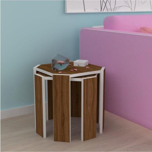 Modern Duck Larose Zigon Coffee table Mdfsyh 1li 45*30*30 coffe table