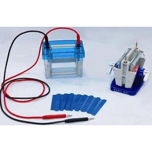 Lab Mini Modular Dual Vertical Gel Electrophoresis Cell System
