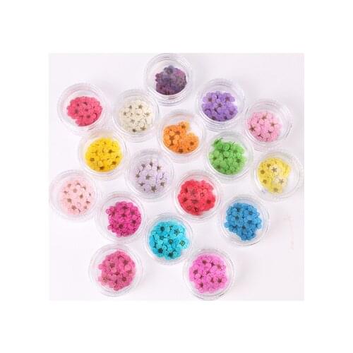 Pressed Dried Myosotis Sylvatica Forgetmenot For Epoxy Resin Pendant Necklace Jewelry Making Craft DIY Accessories 100pcs