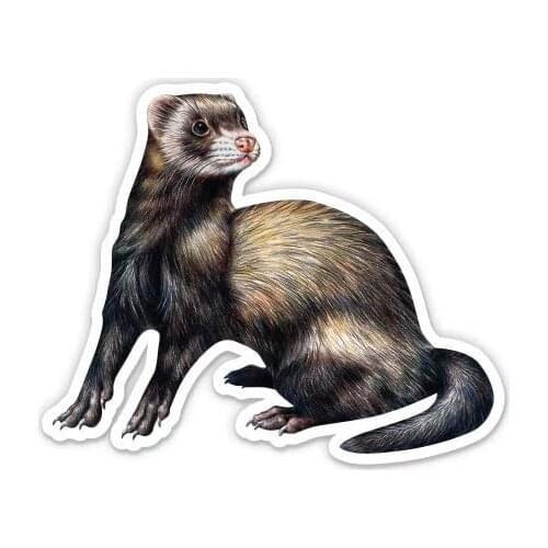 GT Graphics Ferret - 5" Vinyl Sticker - For Car Laptop I-Pad - Waterproof Decal