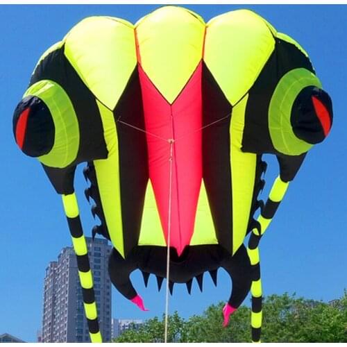 Trilobites soft kite factory large ripstop nylon fabric kite for adults flying outdoor octopus kites dolphin cerf