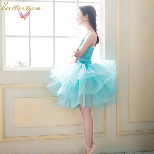 Free Shipping Gymnastics Ballet Leotard For Girls Princess Dress Dress Wedding Party Dress For Women Ballet Stage Show Costume