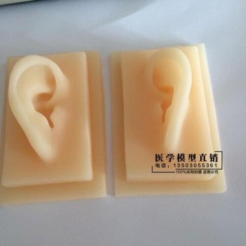 Silicone ear model soft TPR ear model manufacturers supply simulation ear hearing aids props