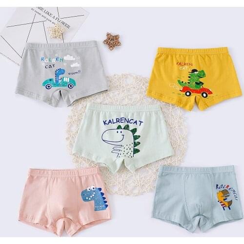 5 Pcs/lotKids Boxer panties Cotton Kids Boys Underwear Childrens Boxer For Boy Shorts Panties Teenage Dinosaur Underpant