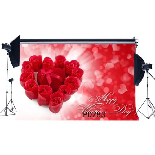Photography Backdrops Bokeh Halos Valentines Day Fancy Red Rose Flowers Gift Toddlers Party Event Portraits Background