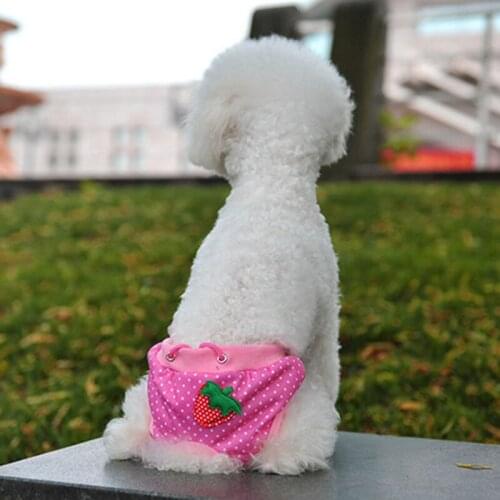 Fashion Kawaii Pet Puppy Cotton Tighten Strap Briefs Sanitary Pet Dog Female Underwear Diapers Physiological Pants Free Shipping
