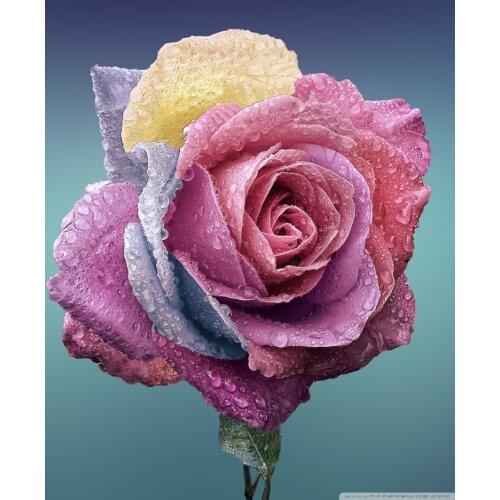 5d Diy Diamond Painting Flower Rose Mosaic Painting Imitation Cross Stitch Customizable Home Decoration Crafts