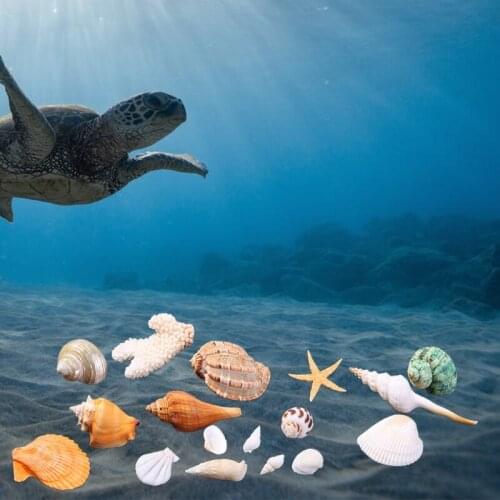 594C Aquarium Beach Seashells Decoration Random Starfish Sea Snail Coral Ornament for Fish Tank Wedding Party Adornment