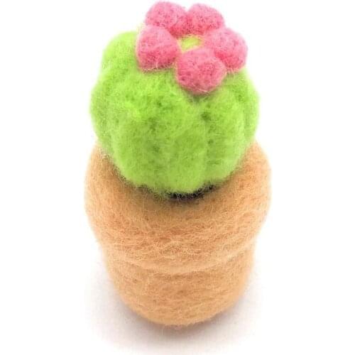 Succulent Needle Felting Kits with 3 Felting Needles, English Manual, Enough Wool, Suitable for Beginners (D)