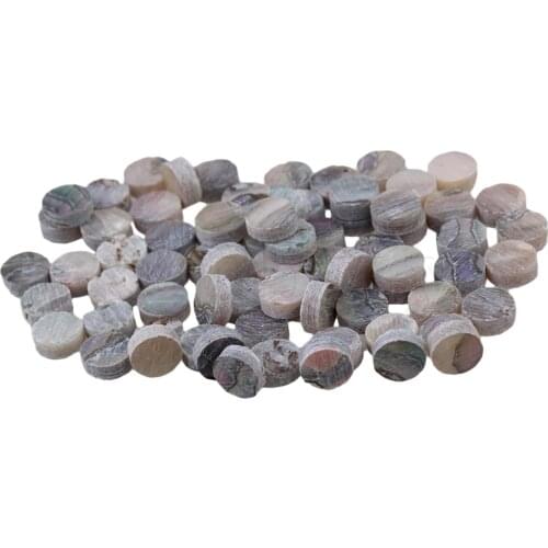 Yibuy 400 PCS 5mmx2mm Abalone Inlay Material Guitar Fingerboard Dots for Guitar