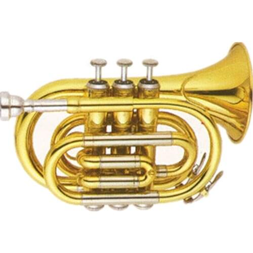 Gold lacquer Tone Bb Pocket Trumpet