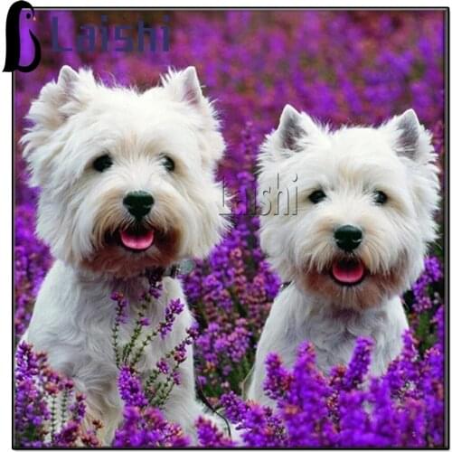 Full square round diamond painting Lavender lovely westie dog pet 5D DIY diamond embroidery home decoration mosaic cross stitch